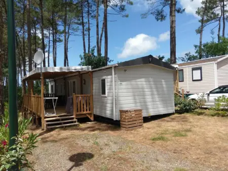 Bungalow à Saint Julien en Born, Bungalow familial avec piscine à Saint-Julien-en-Born - L1065169