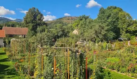 Chalet cosy à Ranspach dans un camping avec piscine partagée - Photo 14
