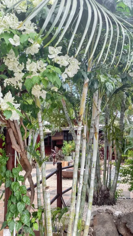 Maison charmante à Albion + jardin clos et piscine partagée - Photo 24