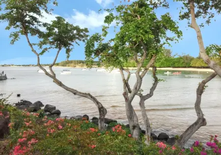 Maison charmante à Albion + jardin clos et piscine partagée - Photo 43