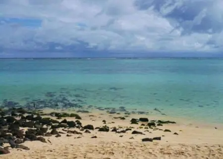 Maison charmante à Albion + jardin clos et piscine partagée - Photo 45