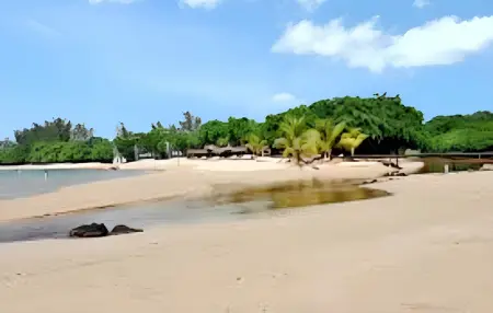 Maison charmante à Albion + jardin clos et piscine partagée - Photo 47