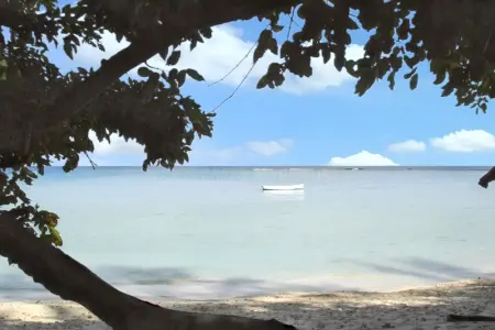 Maison charmante à Albion + jardin clos et piscine partagée - Photo 48