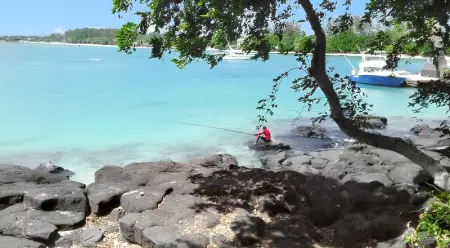 Maison charmante à Albion + jardin clos et piscine partagée - Photo 53