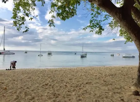 Maison charmante à Albion + jardin clos et piscine partagée - Photo 54