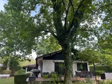 Maison de charme à Savigny-sur-Clairis avec piscine et sauna. - Photo 18