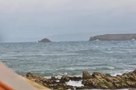 Studio charmant à Peniche – Vue sur mer 40 m² - Photo 11