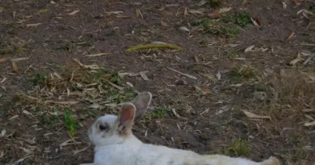 Maison chaleureuse proche de Montluçon avec un grand jardin - Photo 17