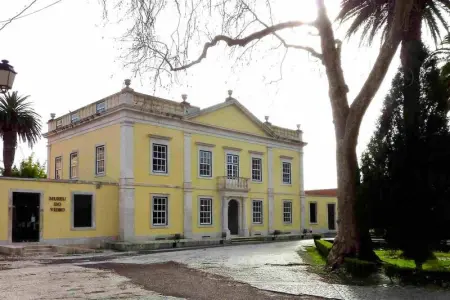 Appartement confortable à Pataias avec jardin et piscine partagée - Photo 16