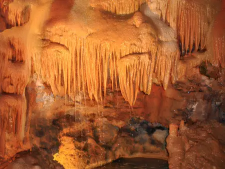 Appartement confortable à Pataias avec jardin et piscine partagée - Photo 20