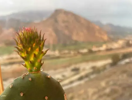 Appartement convivial avec vue sur la mer, Appartement 4 personnes à Almeria - Photo 19