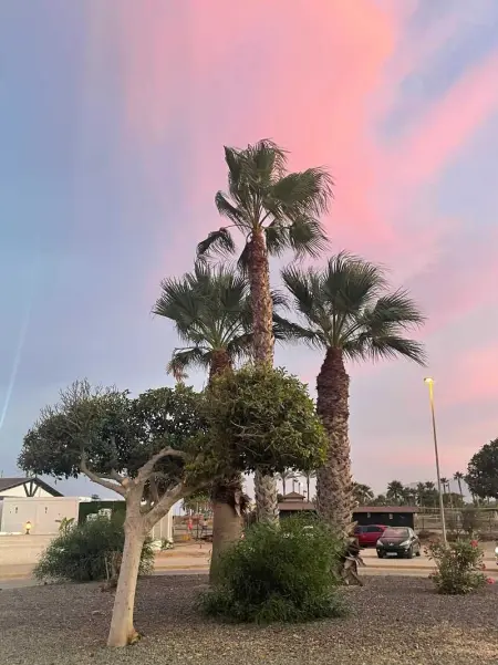 Appartement convivial avec vue sur la mer, Appartement 4 personnes à Almeria - Photo 31
