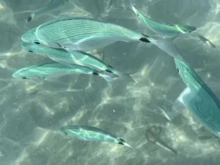 Appartement convivial avec vue sur la mer, Appartement 4 personnes à Almeria - Photo 33