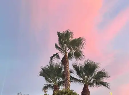 Appartement convivial avec vue sur la mer, Appartement 4 personnes à Almeria - Photo 36
