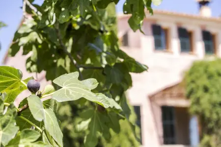 Villa spacieuse à Sant Llorenç, 230 m², piscine privée, vue mer - Photo 32