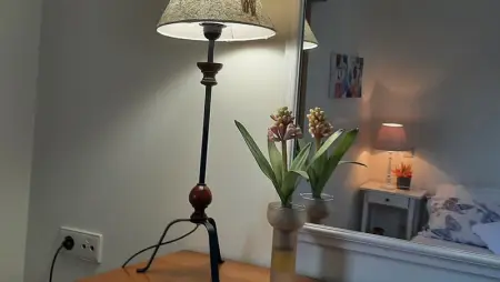 Magnifique villa à Póvoa de Lanhoso avec piscine et jardin - Photo 15