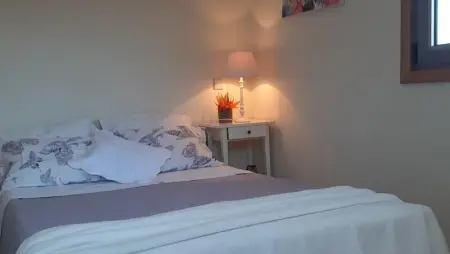 Magnifique villa à Póvoa de Lanhoso avec piscine et jardin - Photo 18