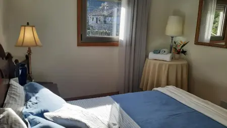 Magnifique villa à Póvoa de Lanhoso avec piscine et jardin - Photo 25