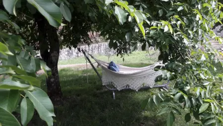 Magnifique villa à Póvoa de Lanhoso avec piscine et jardin - Photo 52