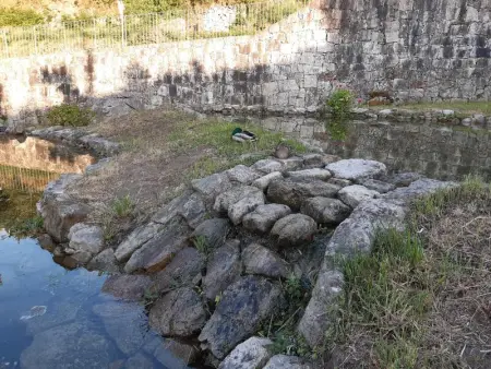 Magnifique villa à Póvoa de Lanhoso avec piscine et jardin - Photo 60