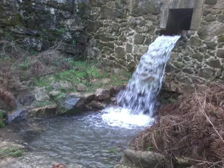Magnifique villa à Póvoa de Lanhoso avec piscine et jardin - Photo 61