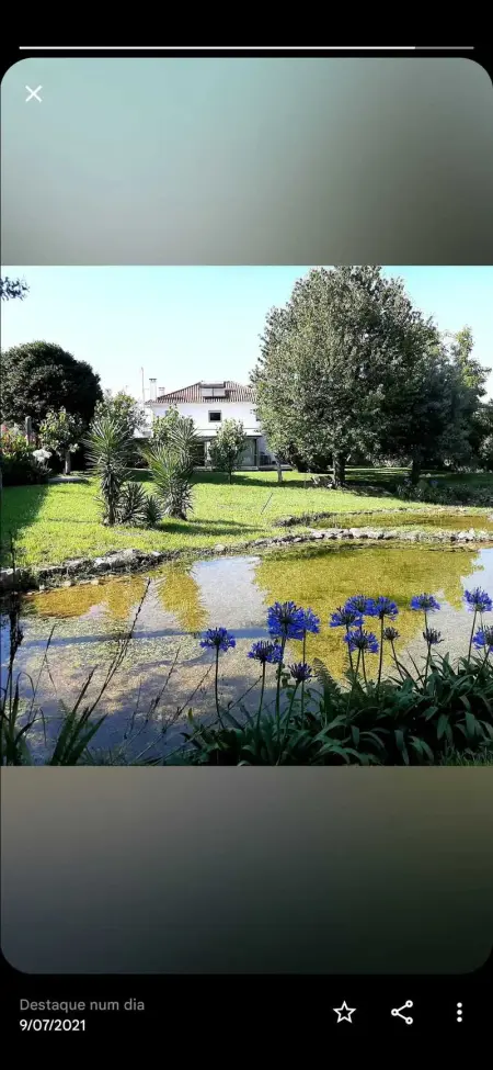 Magnifique villa à Póvoa de Lanhoso avec piscine et jardin - Photo 64