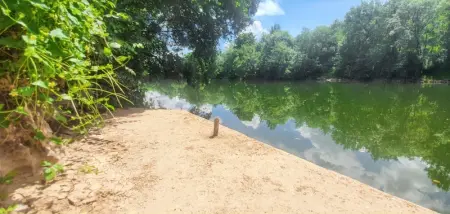 Villa spacieuse avec piscine privée - Montricoux - Photo 21