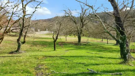 Villa spacieuse avec piscine privée - Montricoux - Photo 98