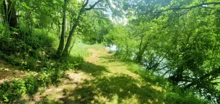 Villa spacieuse avec piscine privée - Montricoux - Photo 109