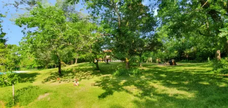 Villa spacieuse avec piscine privée - Montricoux - Photo 112