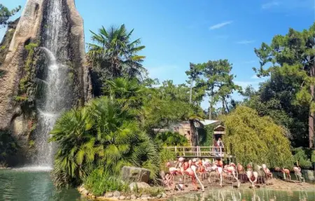 Villa pittoresque à Meschers-sur-Gironde, piscine privée - Photo 28