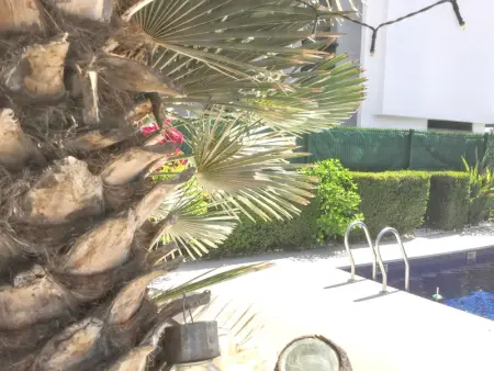 Villa élégante à Guardamar del Segura avec piscine privée - Photo 5