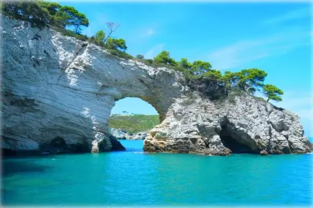 Appartement charmant à Vieste avec balcon et vue sur jardin - Photo 21