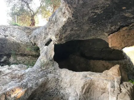 Appartement charmant à Vieste avec balcon et vue sur jardin - Photo 24