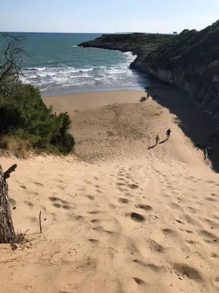 Appartement charmant à Vieste avec balcon et vue sur jardin - Photo 26