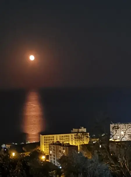 Appartement Vue Mer à Bastia, terrasse et piscine privée. - Photo 54