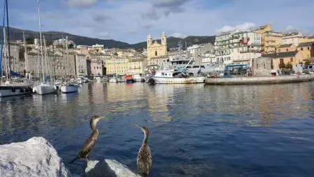Appartement Vue Mer à Bastia, terrasse et piscine privée. - Photo 58