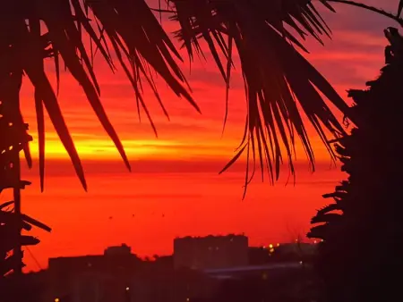 Appartement Vue Mer à Bastia, terrasse et piscine privée. - Photo 83