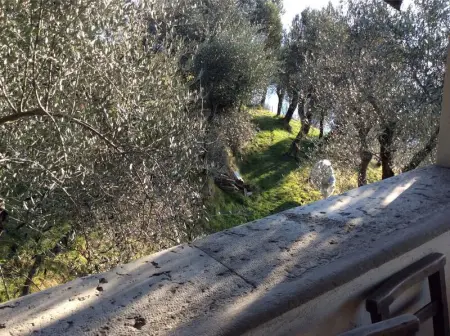 Maison Charmante à Gargnano avec Piscine, Maison 8 personnes à Gargnano - Photo 40