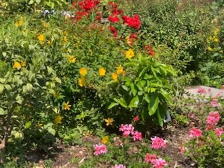 Maison Charmante à Gargnano avec Piscine, Maison 8 personnes à Gargnano - Photo 53