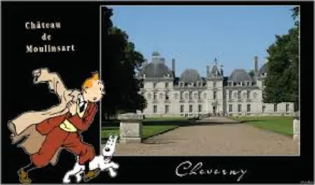 Maison accueillante avec jardin à Selles-sur-Cher - Photo 20