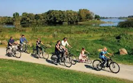 Maison accueillante avec jardin à Selles-sur-Cher - Photo 21