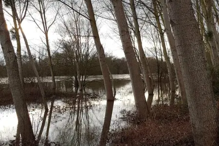 Maison charmante avec grand jardin à Noyers-sur-Cher, PMR - Photo 33