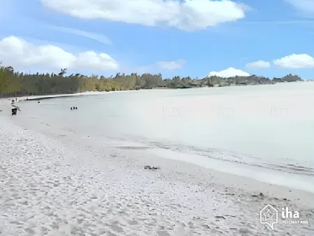 Studio cosy à Trou-aux-Biches 35 m² avec balcon joli jardin - Photo 11