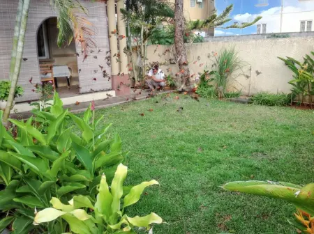 Studio cosy à Trou-aux-Biches 35 m² avec balcon joli jardin - Photo 28