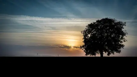 Maison accueillante à Mouterre-Silly avec jardin et cheminée - Photo 17