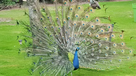 Maison confortable à Saint-Germain-du-Pert avec piscine privée - Photo 25