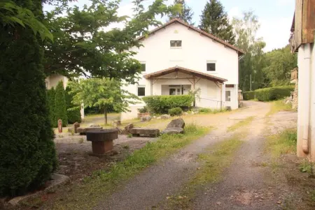 Chalet à Ban sur Meurthe Clefcy, Chalet spacieux à Ban-sur-Meurthe-Clefcy, idéal en groupe - L1065607