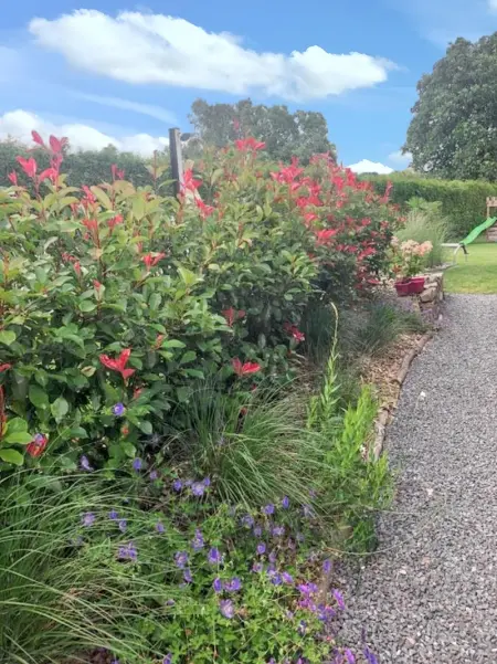 Maison charmante à Hamois avec piscine partagée - Photo 20