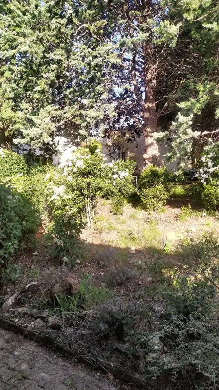 Maison paisible à Veyras avec piscine privée et vue montagne - Photo 9